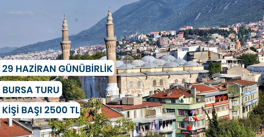 Bursa turu