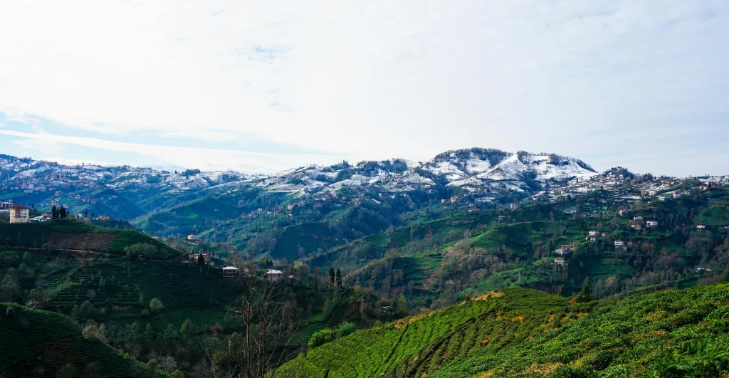 doğu Karadeniz turu kapak