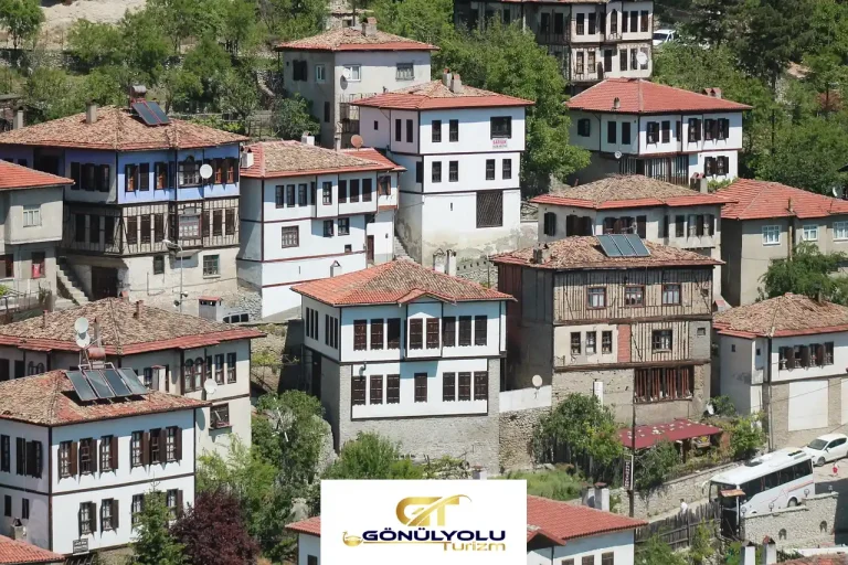 amasra turu